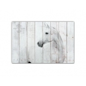 Картина на досках ZOO  — Белая лошадь