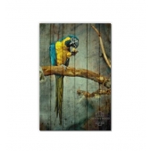 Картина на досках ZOO  — Попугай