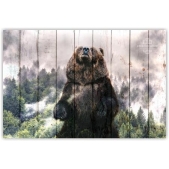 Картина на досках ZOO  — Медведь 