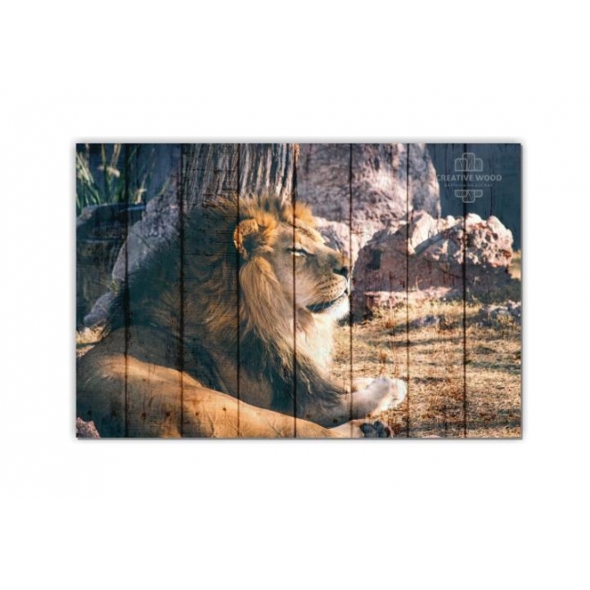 Картина на досках ZOO — Лев