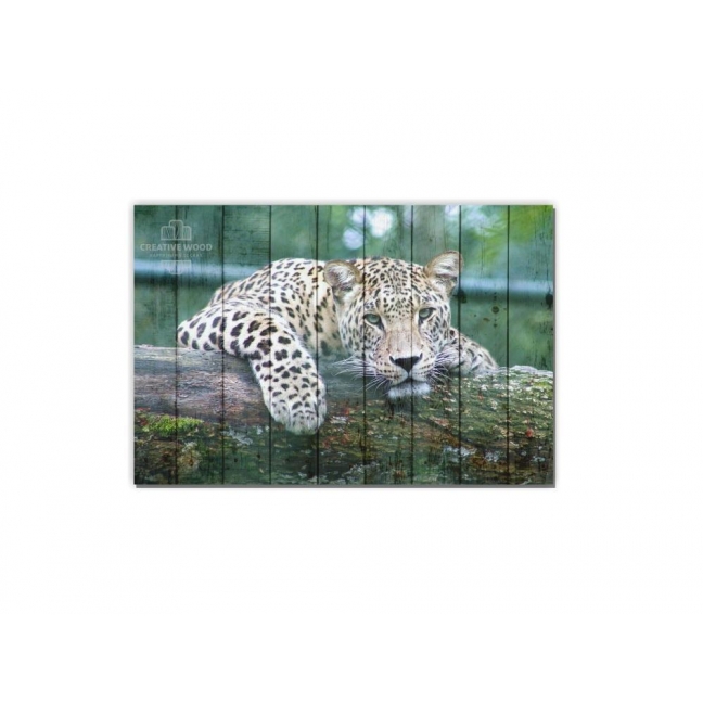 Картина на досках ZOO — Ягуар