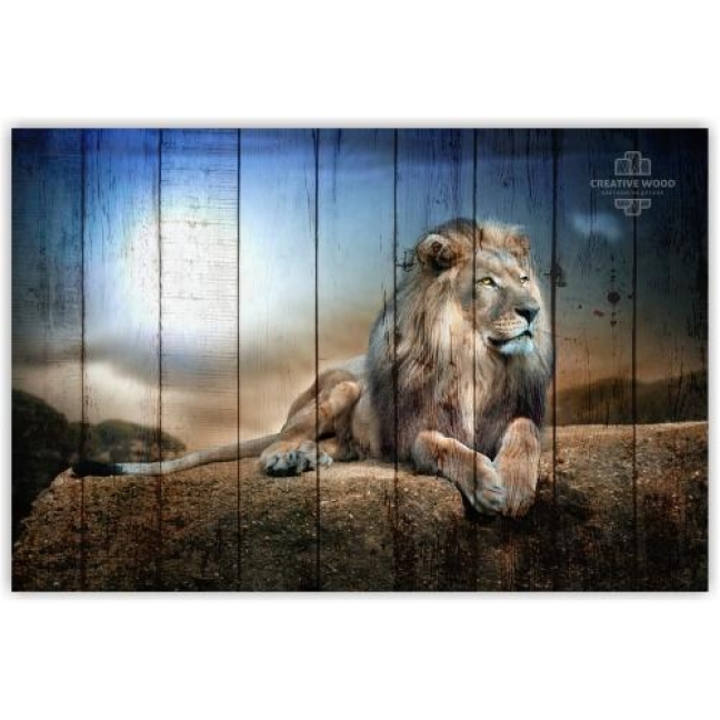 Картина на досках ZOO — Король лев
