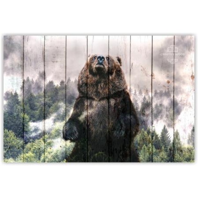 Картина на досках ZOO — Медведь